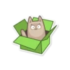 Gray Kitten 17