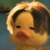 mofy duck 23