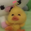 mofy duck 24