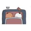 The Bear 18