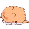 MuFfIn DoG 21