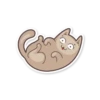 Gray Kitten 19