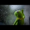 Frogget 5