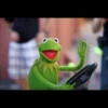 Frogget 6
