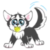 Husky 9
