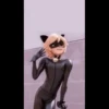 Miraculous ladybug 17