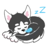 Husky 10
