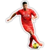 Liverpool FC 8