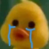 mofy duck 26