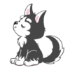 Husky 12