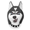 huskynys 18