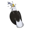 Colin Grumpbeak 6