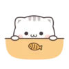 Cutie Cat-Chan 7