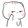 Cutie Cat 10