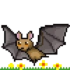 Fruit Bats 9