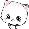 Kitty 6