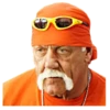 Hulk Hogan 5