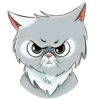 Meow Gallery 7