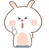 Cute bunny 7