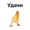 Удачи