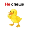 Не спеши