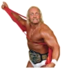 Hulk Hogan 6