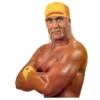 Hulk Hogan 7