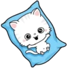 Kitty 10