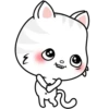 Kitty 12