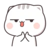 Cutie Cat-Chan 12