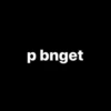 p bnget
