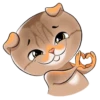 Meow Gallery 10
