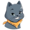 Meow Gallery 11