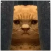 KUCINGNYA 9