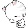 Kitty 13