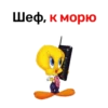 Шеф, к морю