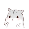 karikankan-hamsters 11