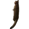 MeowMeowPack 11