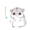 karikankan-hamsters 12