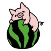 Little Pig Monboo 18