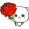 Kitty 15