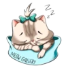 Meow Gallery 12