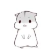 karikankan-hamsters 13