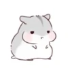 karikankan-hamsters 14