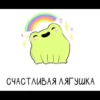 Frogshonoook 17