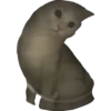 MeowMeowPack 12