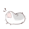 karikankan-hamsters 17