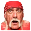 Hulk Hogan 8