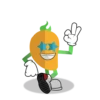 MangoLikes 9