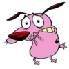 Lion wimp dog 16